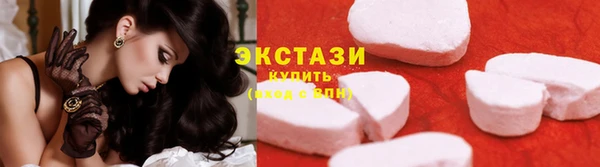 гидра Богородицк