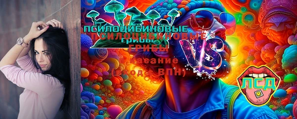 mix Богородск