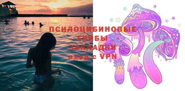 mix Богородск