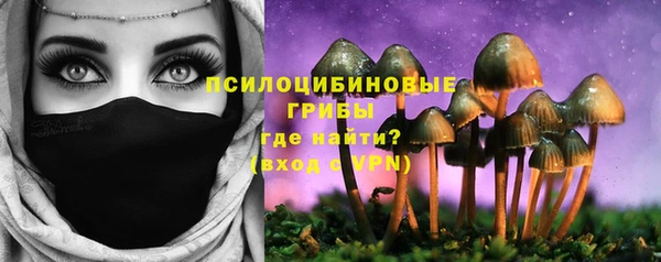гидра Богородицк