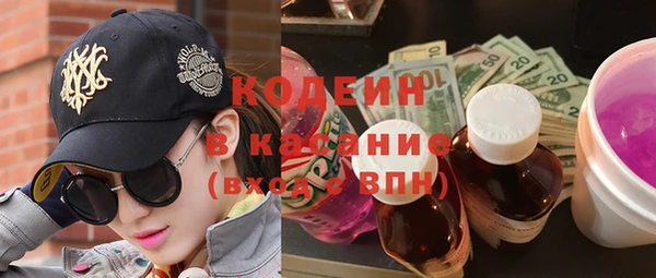 гидра Богородицк