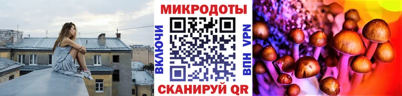 Купить где  Новодвинск  Псилоцибиновые грибы GOLDEN TEACHER 