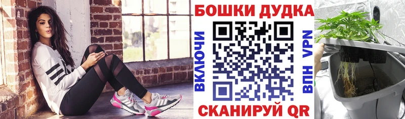 Купить где  Новодвинск  Каннабис OG Kush 